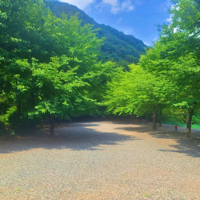 별삼킨별캠핑장 10