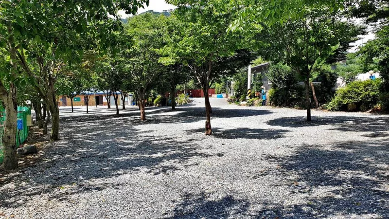 소백산오토캠핑장 5