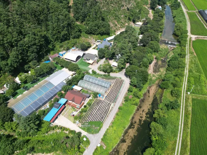 솔밭체육공원오토캠핑장 3