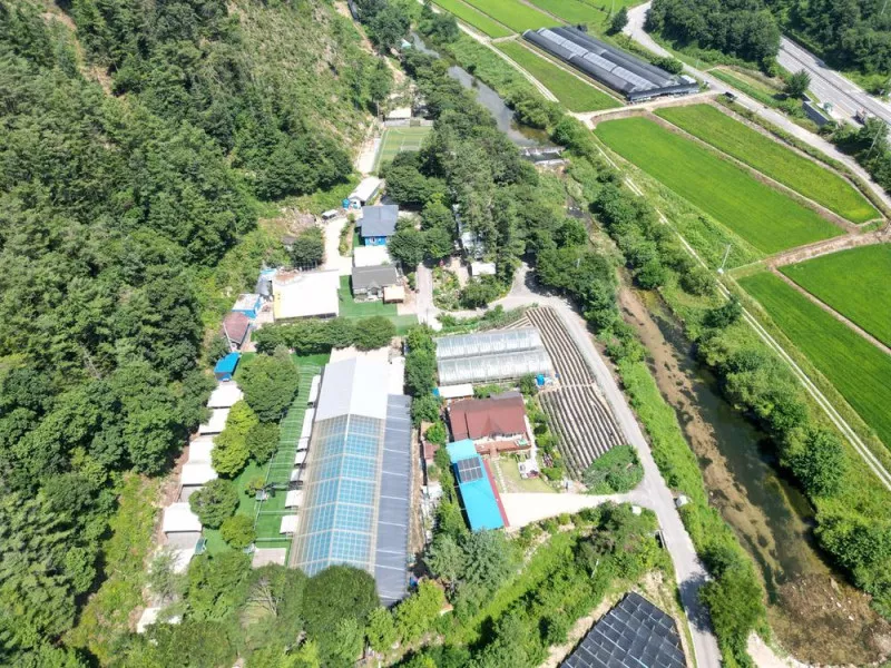 솔밭체육공원오토캠핑장 2