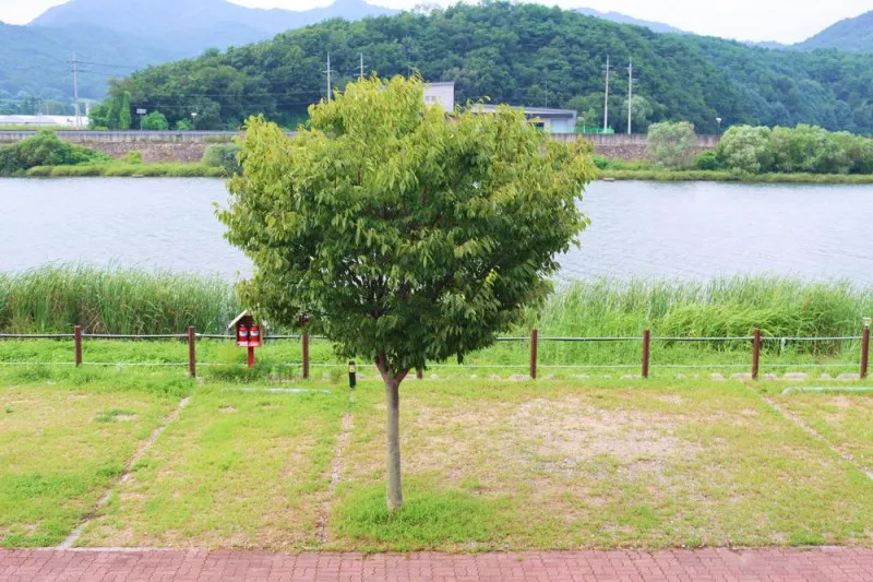 쉬리마을 농어촌 관광 휴양단지 야영장 6