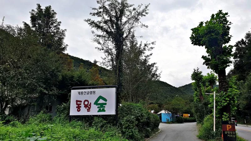 계룡산글램핑 동월숲 3