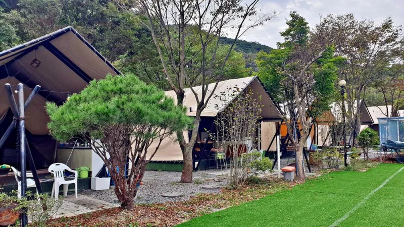 계룡산글램핑 동월숲 8