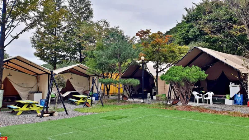 계룡산글램핑 동월숲 6