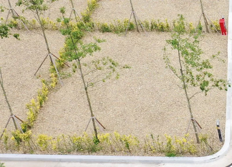 화순 고인돌 오토캠핑장 10