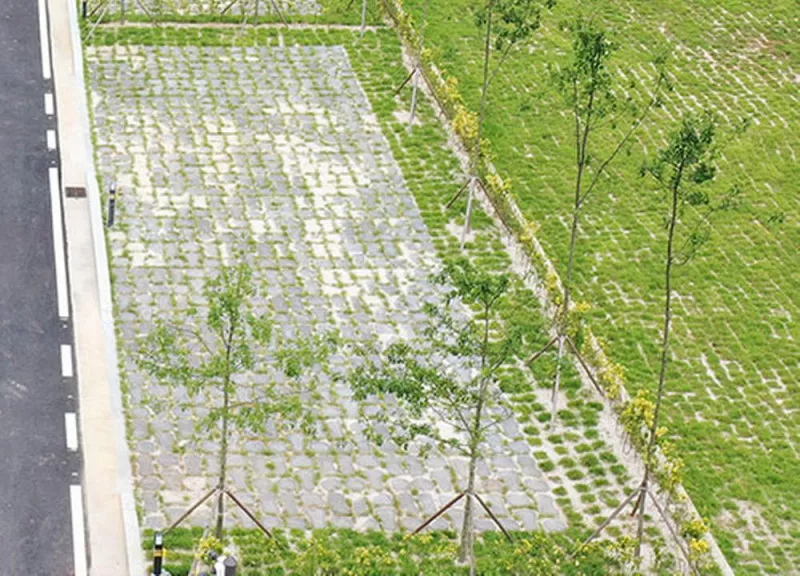 화순 고인돌 오토캠핑장 11