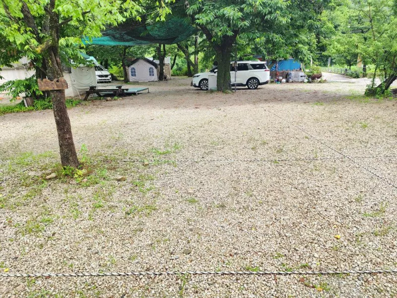 약사밤나무집 캠핑장 3