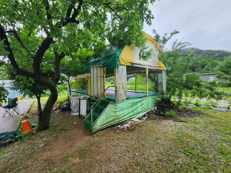 약사밤나무집 캠핑장 11