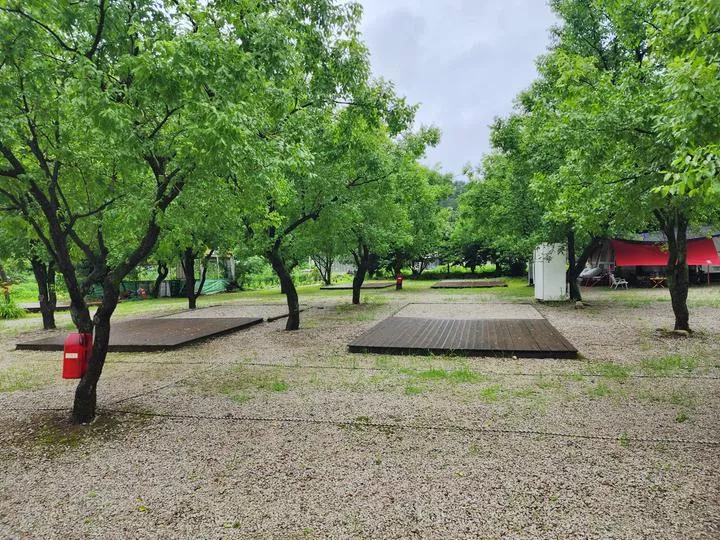 약사밤나무집 캠핑장