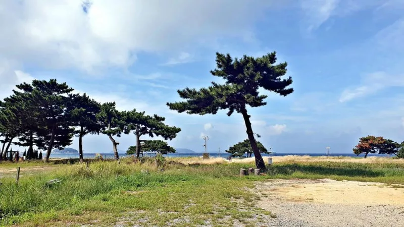 캠핑스테이 청포대 3