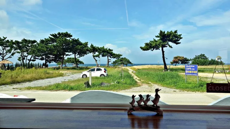 캠핑스테이 청포대 9