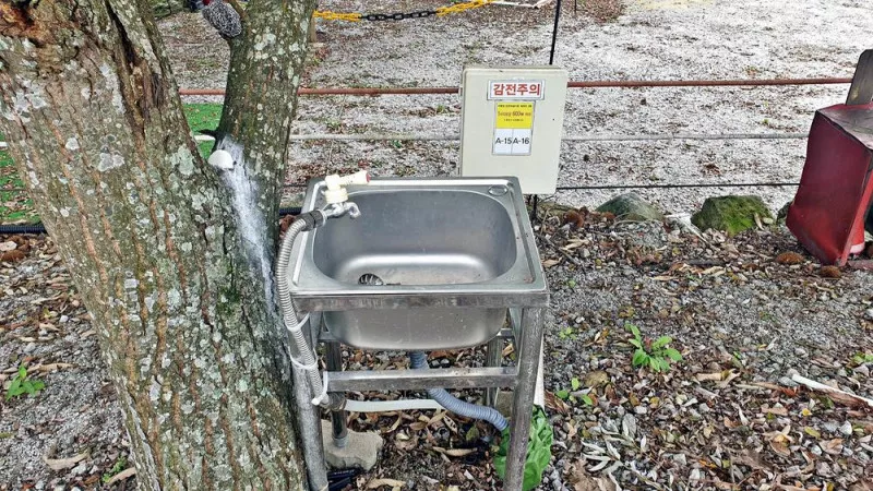 마이산 가자캠핑장 11