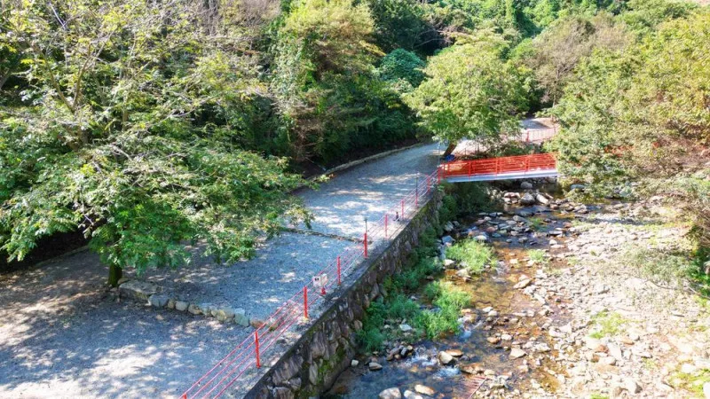 숲내음에 머물다 10