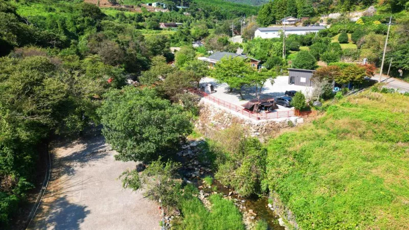 숲내음에 머물다 8