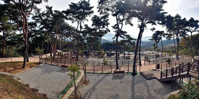 교룡공원 숲속야영장 8