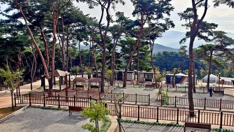 교룡공원 숲속야영장 6