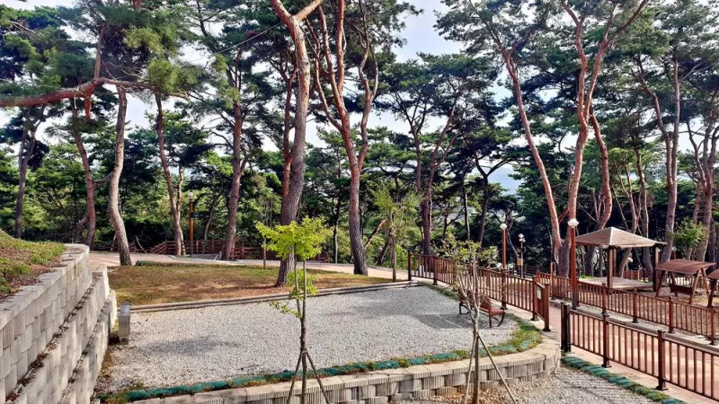 교룡공원 숲속야영장 10