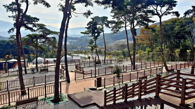 교룡공원 숲속야영장 7