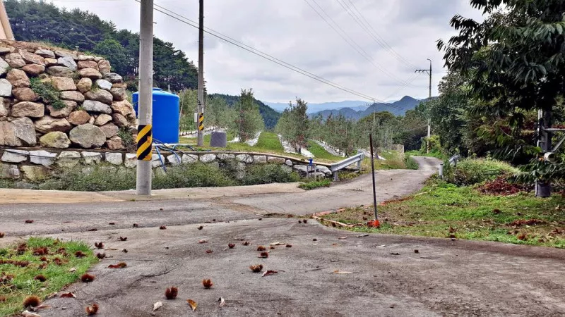 각화산캠핑장 5