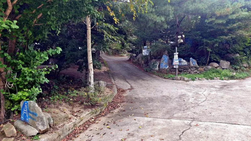 각화산캠핑장 6