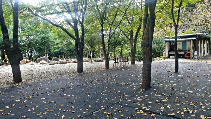 각화산캠핑장 7