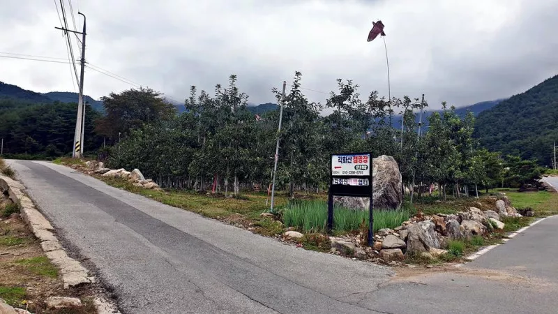 각화산캠핑장 4