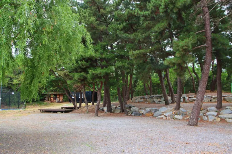 아름다운캠프 7