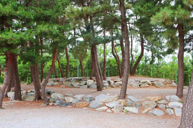 아름다운캠프 11