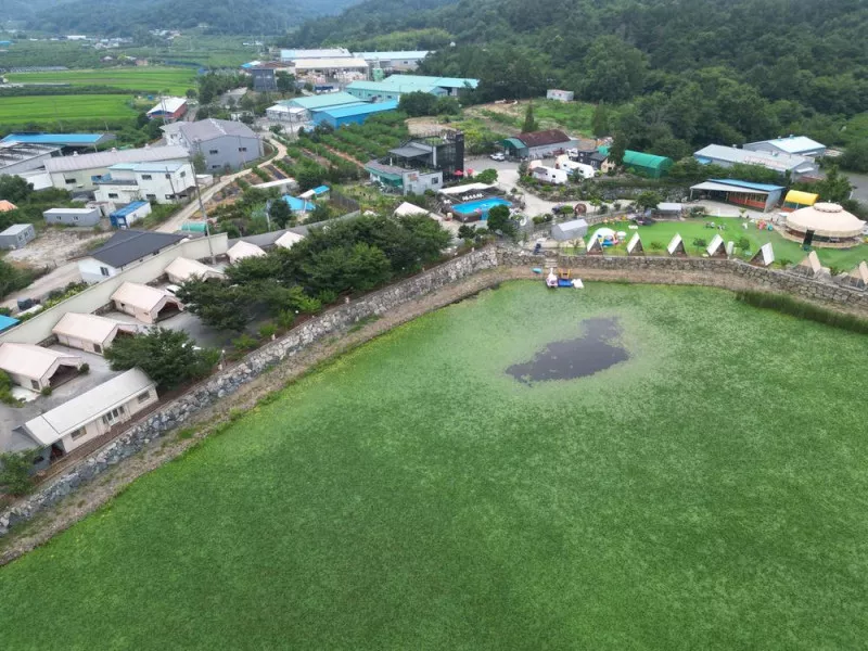 금박산관광농원 6