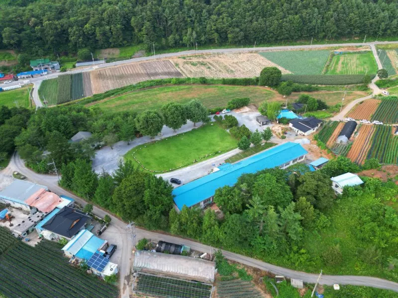 오손도손캠핑장 11