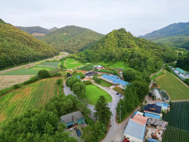 오손도손캠핑장 9