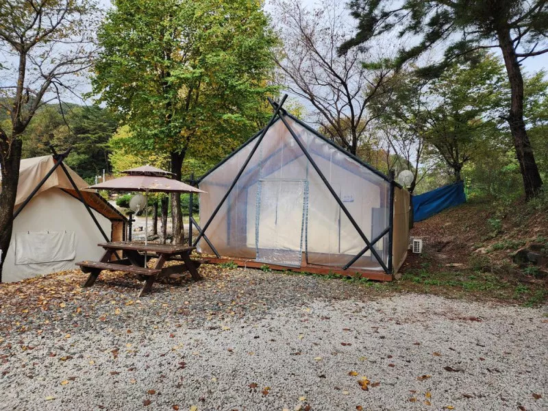 예담가족캠핑장 6