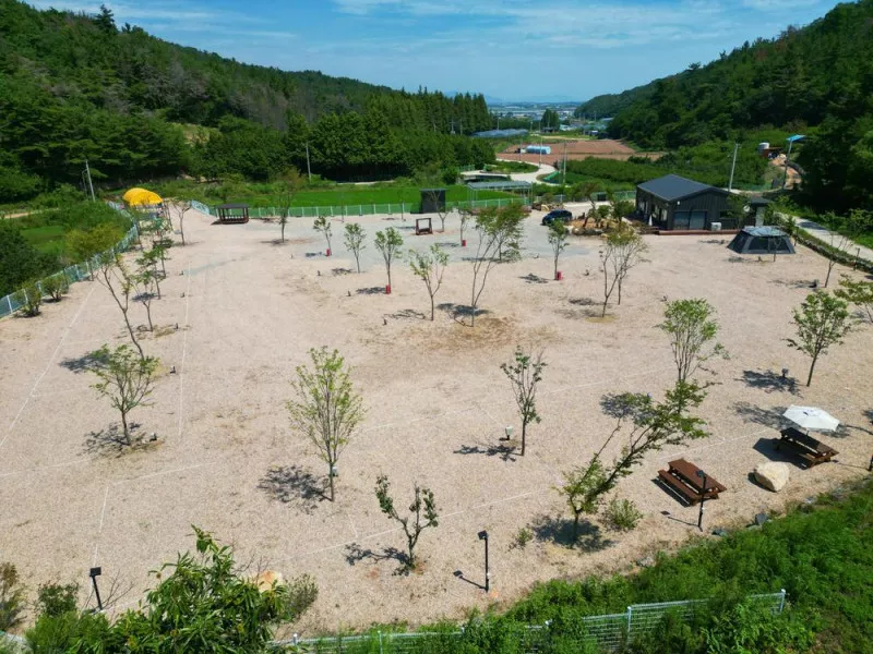 메타쉐콰이어 오토 캠핑장 2