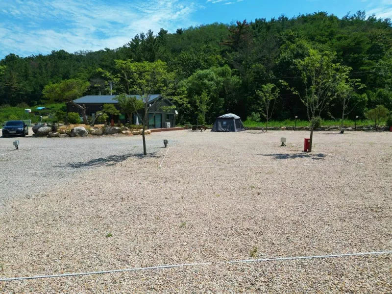 메타쉐콰이어 오토 캠핑장 8