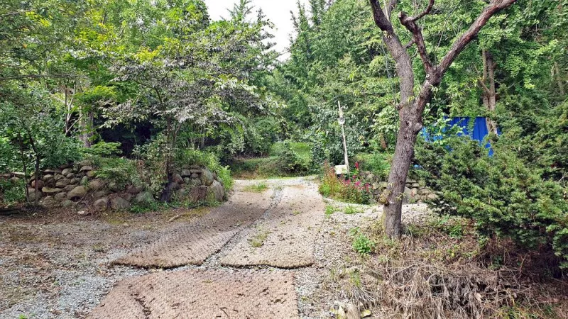 일월관광농원 캠핑장 11