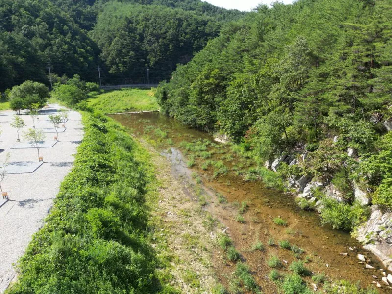 럼버잭 캠핑 1지구 7