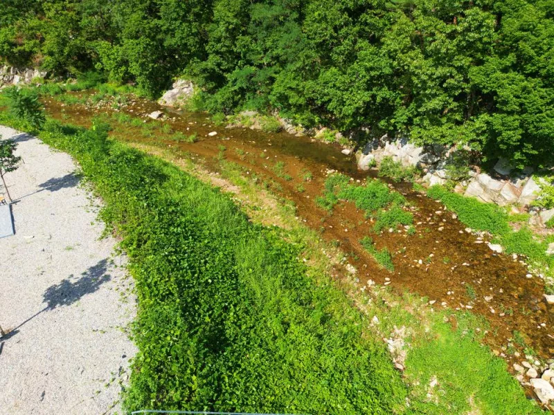 럼버잭 캠핑 1지구 5