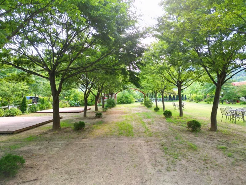 화봉캠핑클럽 8