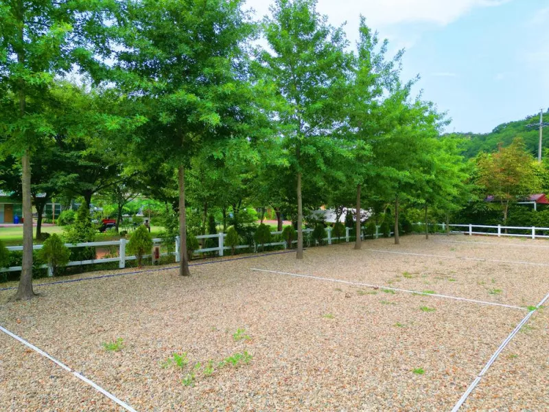 화봉캠핑클럽 11