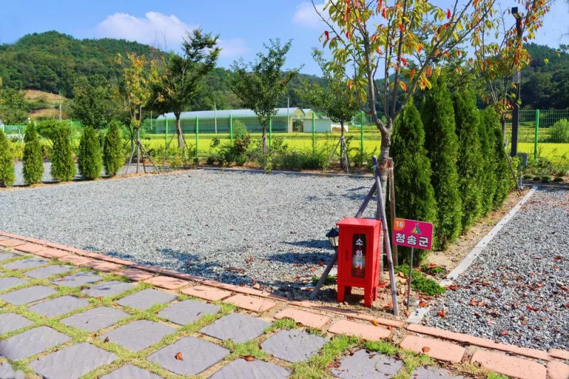 단밀오토캠핑장 11