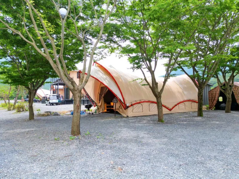 단양 글램핑&펜션 8