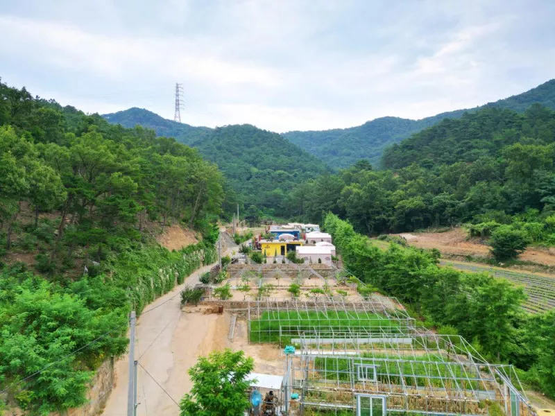 에코관광농원 2