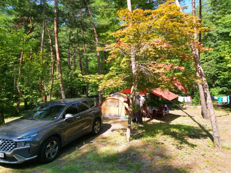 산내들 관광농원 6