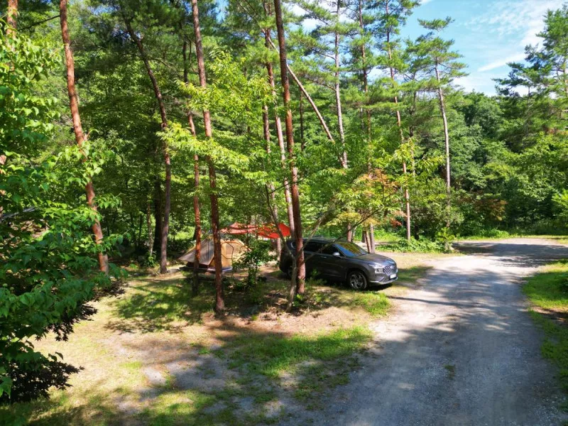 산내들 관광농원 5