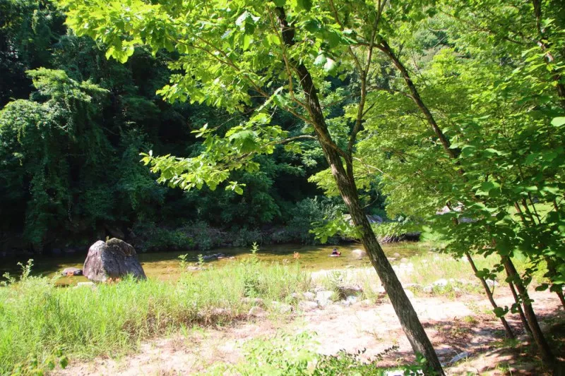 산내들 관광농원 8