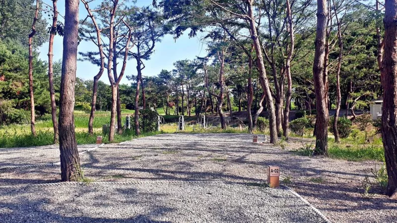 소풍정원 캠핑장 9