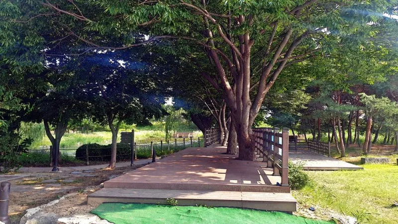 소풍정원 캠핑장 7