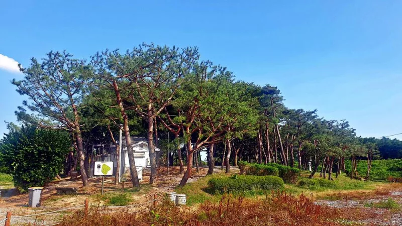 소풍정원 캠핑장 11