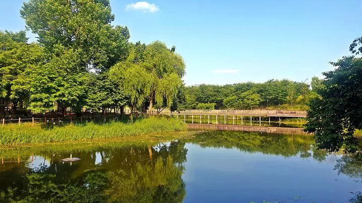 소풍정원 캠핑장