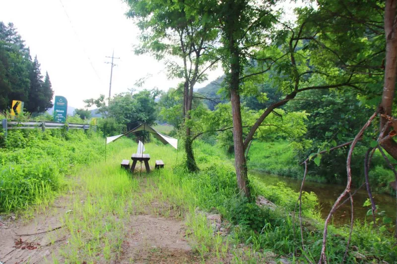 구학희망캠핑장 8